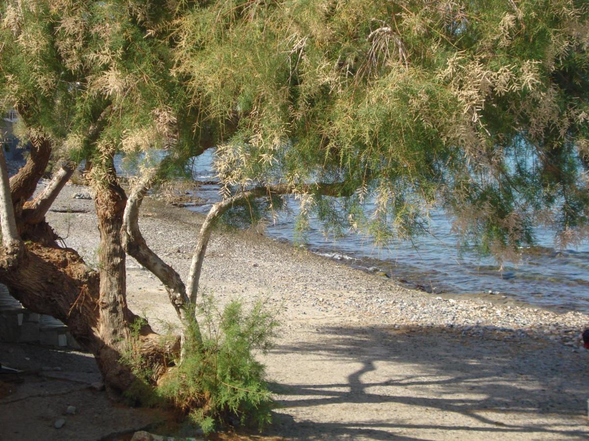 Escape In Blue Villa Stalida Dış mekan fotoğraf